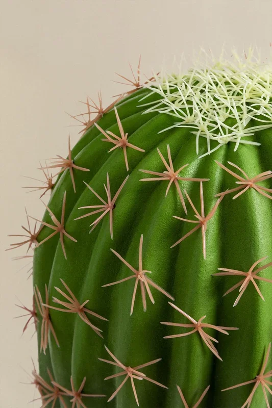 Cactus Artificial Echinopsis 60 cm ↑60 cm – SKLUM