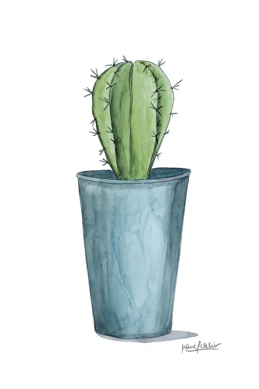 CACTUS PELETIER AZUL 90×60 – Drimdeco