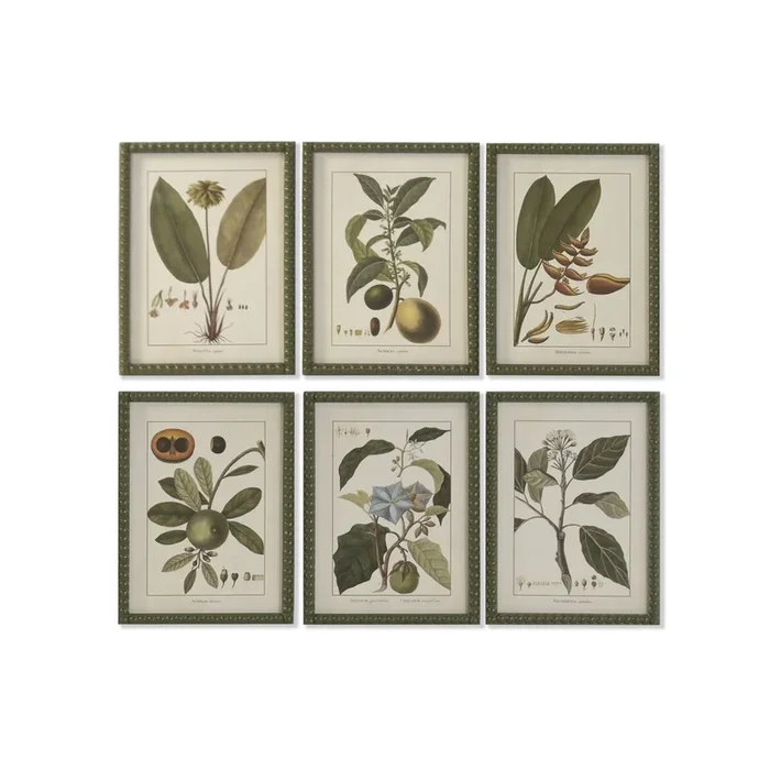 Cuadro Home ESPRIT Verde Cottage Plantas botánicas 30 x 2,5 x 40 cm (6 Unidades)