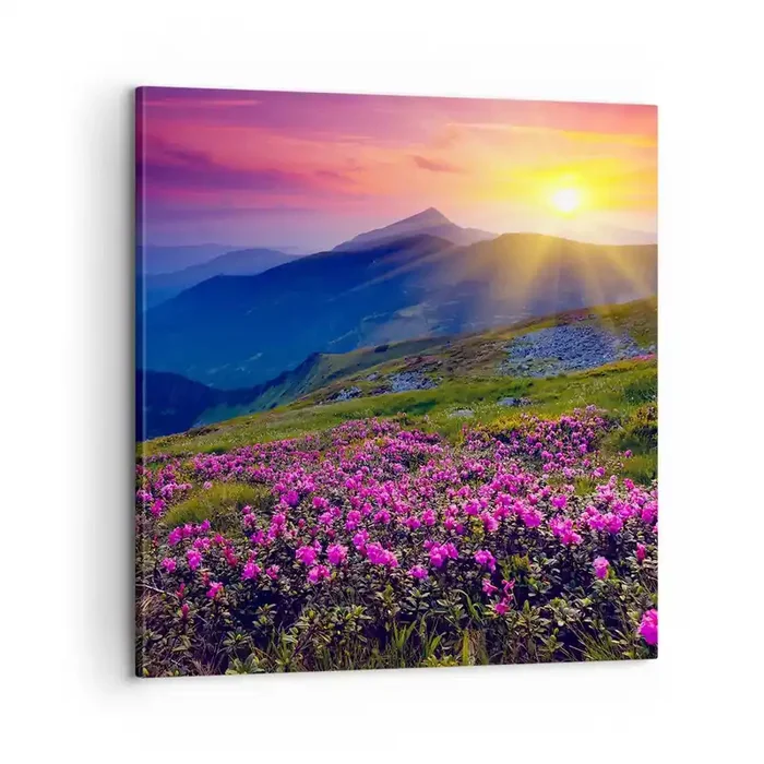 Cuadro sobre lienzo – Impresión de Imagen – … Y el aroma a hierbas está por todas partes – 60×60 cm
