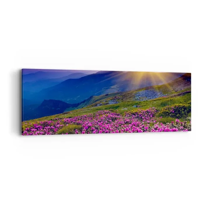 Cuadro sobre lienzo – Impresión de Imagen – … Y el aroma a hierbas está por todas partes – 90×30 cm