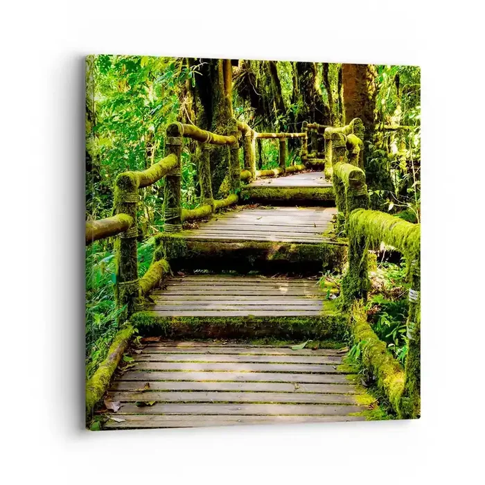Cuadro sobre lienzo – Impresión de Imagen – A través de un corredor verde – 30×30 cm