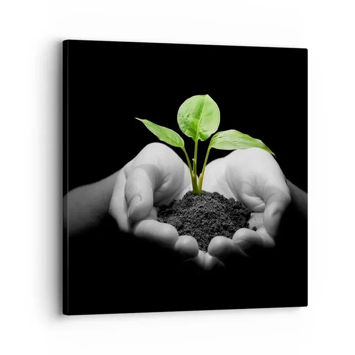 Cuadro sobre lienzo – Impresión de Imagen – Amo la naturaleza, la protejo – 30×30 cm