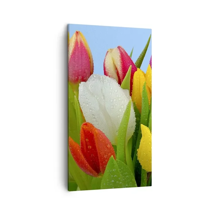 Cuadro sobre lienzo – Impresión de Imagen – Arco iris floral en gotas de rocío – 45×80 cm