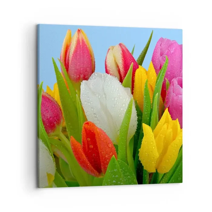 Cuadro sobre lienzo – Impresión de Imagen – Arco iris floral en gotas de rocío – 50×50 cm