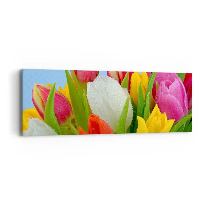 Cuadro sobre lienzo – Impresión de Imagen – Arco iris floral en gotas de rocío – 90×30 cm