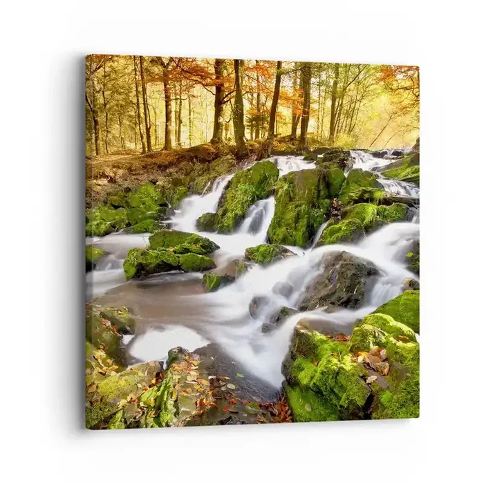 Cuadro sobre lienzo – Impresión de Imagen – Atravesando el bosque otoñal – 30×30 cm