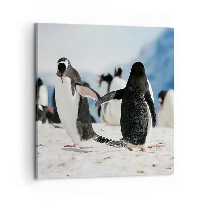 Cuadro sobre lienzo – Impresión de Imagen – Bailando en la nieve – 50×50 cm