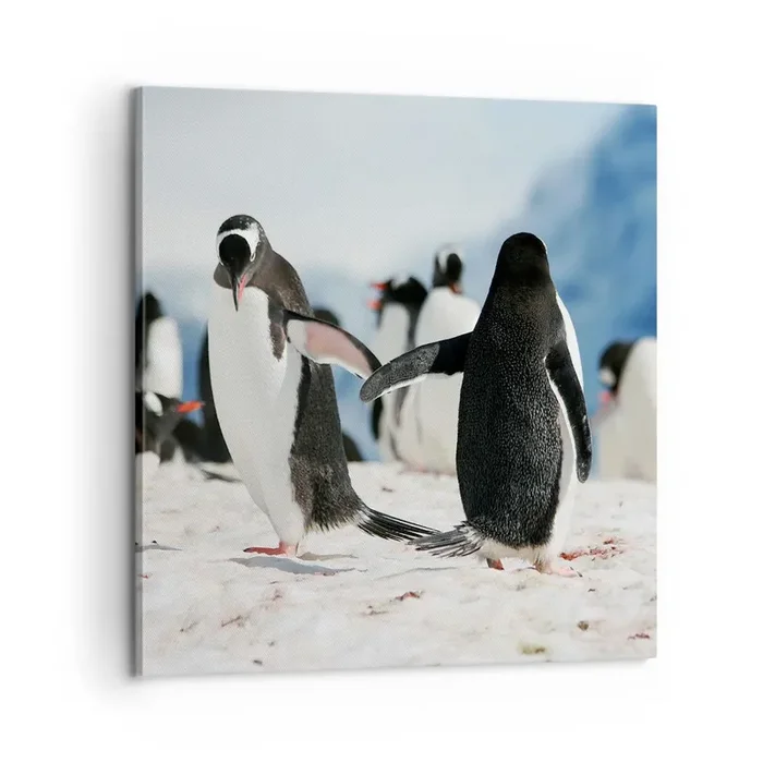 Cuadro sobre lienzo – Impresión de Imagen – Bailando en la nieve – 60×60 cm