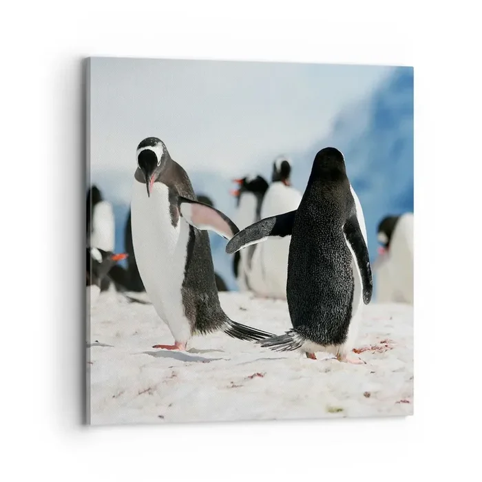 Cuadro sobre lienzo – Impresión de Imagen – Bailando en la nieve – 70×70 cm