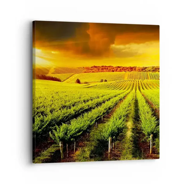 Cuadro sobre lienzo – Impresión de Imagen – Bajo el sol de Australia – 30×30 cm