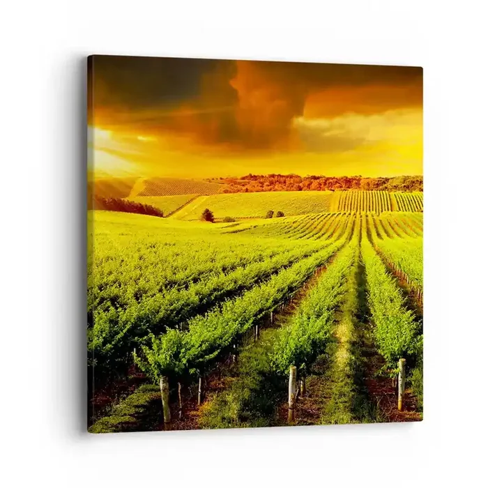 Cuadro sobre lienzo – Impresión de Imagen – Bajo el sol de Australia – 40×40 cm