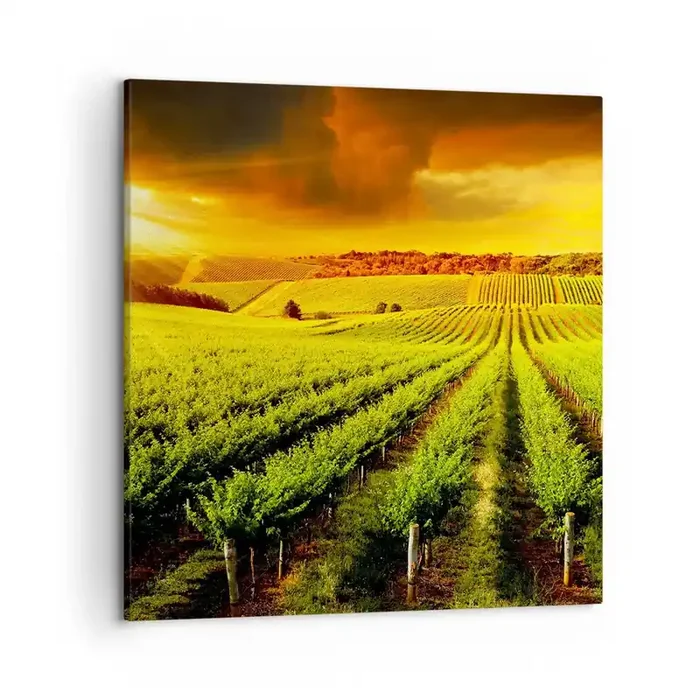 Cuadro sobre lienzo – Impresión de Imagen – Bajo el sol de Australia – 50×50 cm