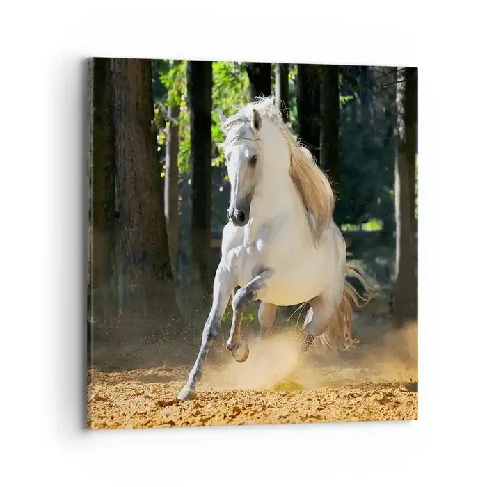 Cuadro sobre lienzo – Impresión de Imagen – Como en una novela de fantasía – 70×70 cm
