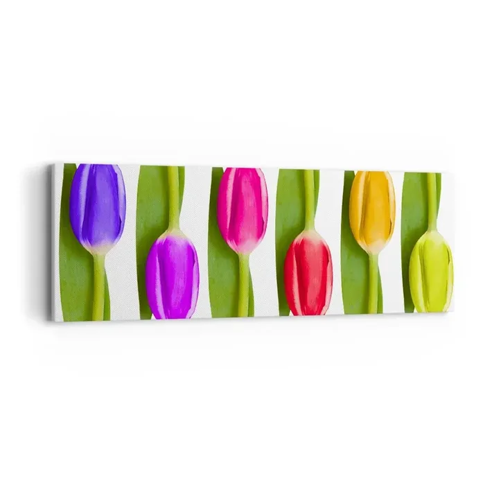 Cuadro sobre lienzo – Impresión de Imagen – Composición del arco iris – 90×30 cm