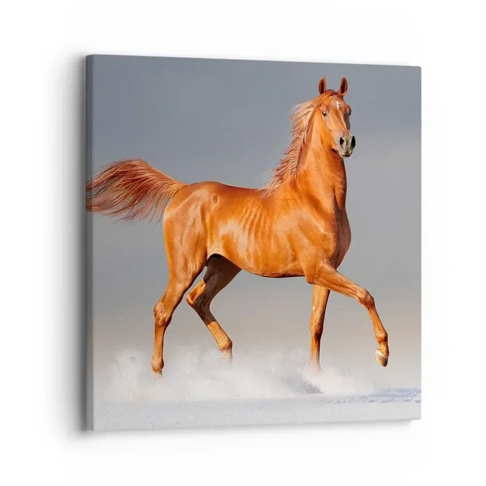 Cuadro sobre lienzo – Impresión de Imagen – Danza al viento – 30×30 cm