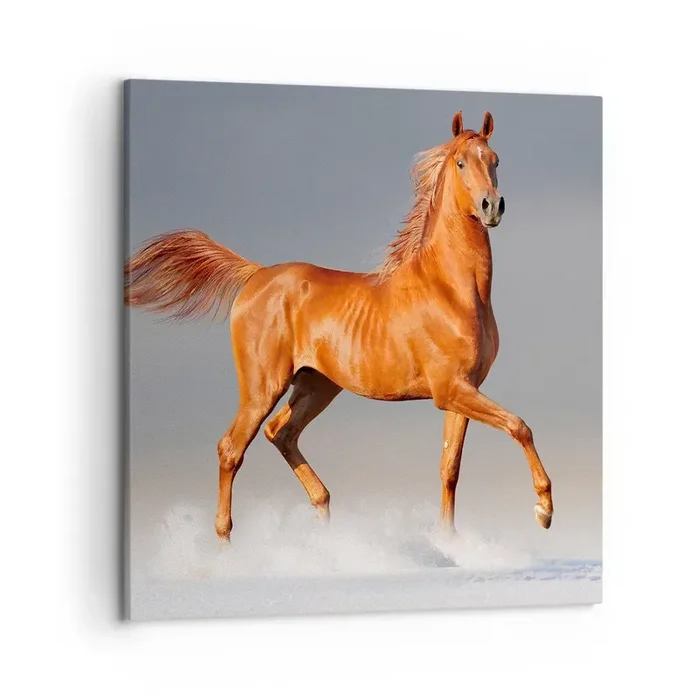 Cuadro sobre lienzo – Impresión de Imagen – Danza al viento – 50×50 cm