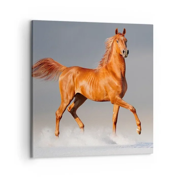 Cuadro sobre lienzo – Impresión de Imagen – Danza al viento – 60×60 cm