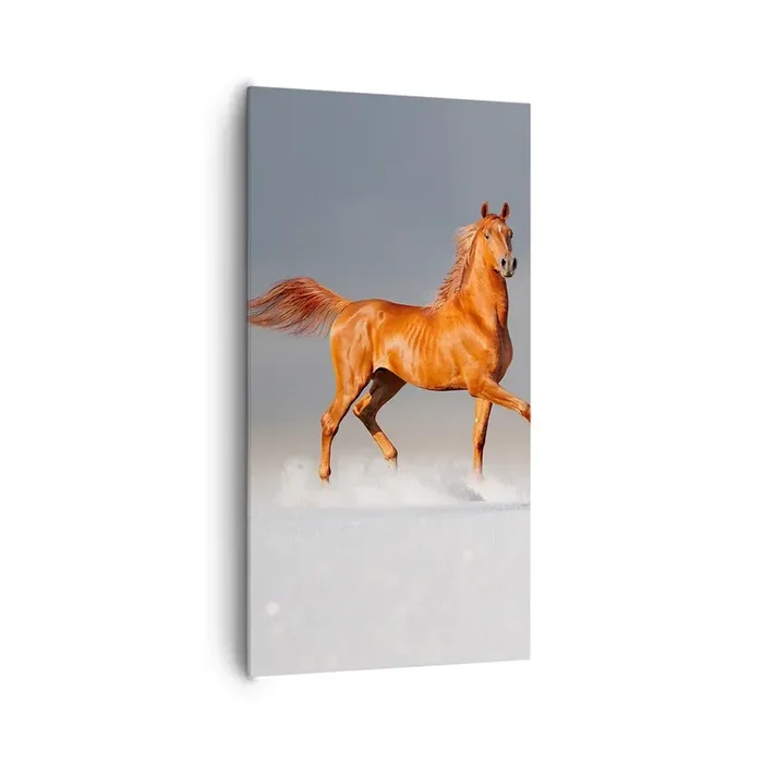 Cuadro sobre lienzo – Impresión de Imagen – Danza al viento – 65×120 cm