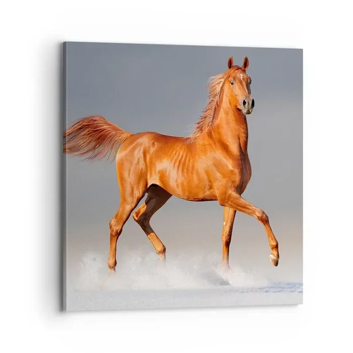 Cuadro sobre lienzo – Impresión de Imagen – Danza al viento – 70×70 cm