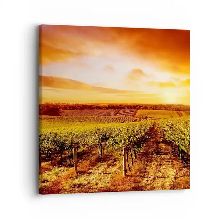 Cuadro sobre lienzo – Impresión de Imagen – Delicadamente afrutado con un toque de sol – 30×30 cm