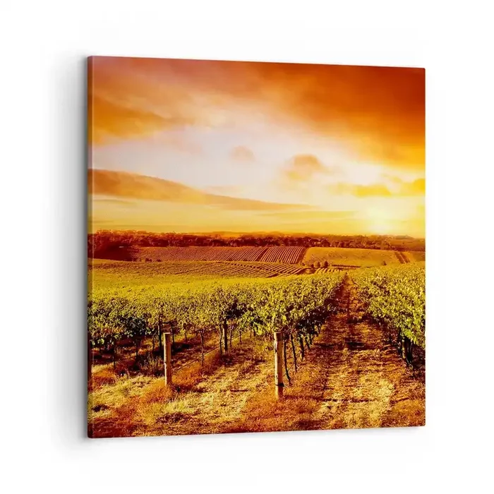Cuadro sobre lienzo – Impresión de Imagen – Delicadamente afrutado con un toque de sol – 60×60 cm