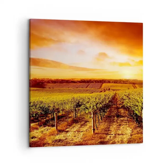 Cuadro sobre lienzo – Impresión de Imagen – Delicadamente afrutado con un toque de sol – 50×50 cm