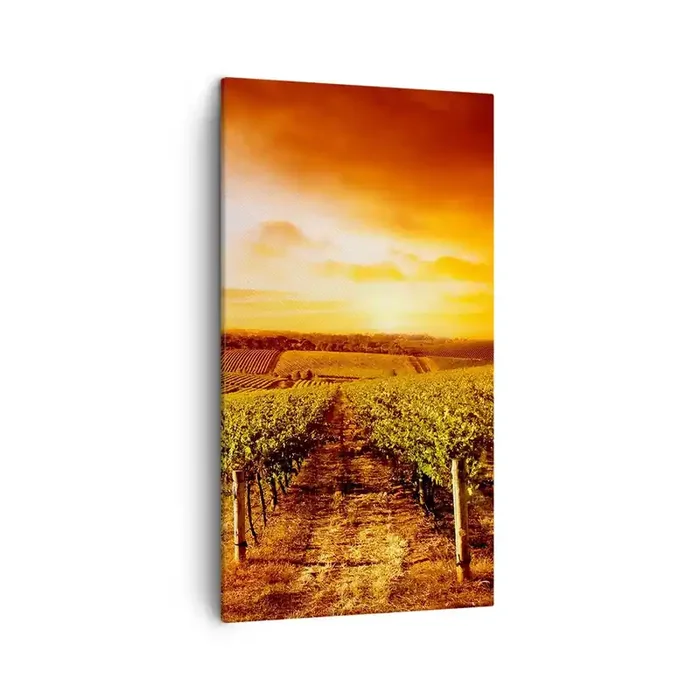 Cuadro sobre lienzo – Impresión de Imagen – Delicadamente afrutado con un toque de sol – 45×80 cm