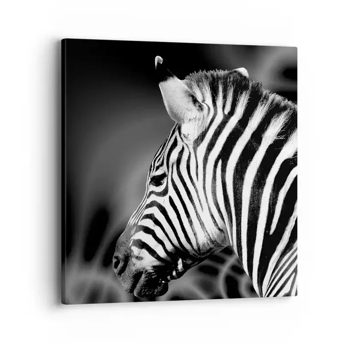 Cuadro sobre lienzo – Impresión de Imagen – El blanco es blanco, el negro es negro – 40×40 cm