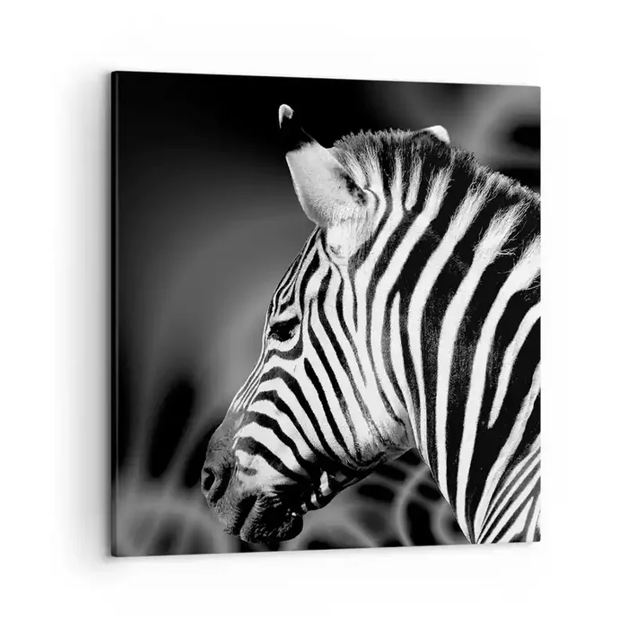 Cuadro sobre lienzo – Impresión de Imagen – El blanco es blanco, el negro es negro – 50×50 cm