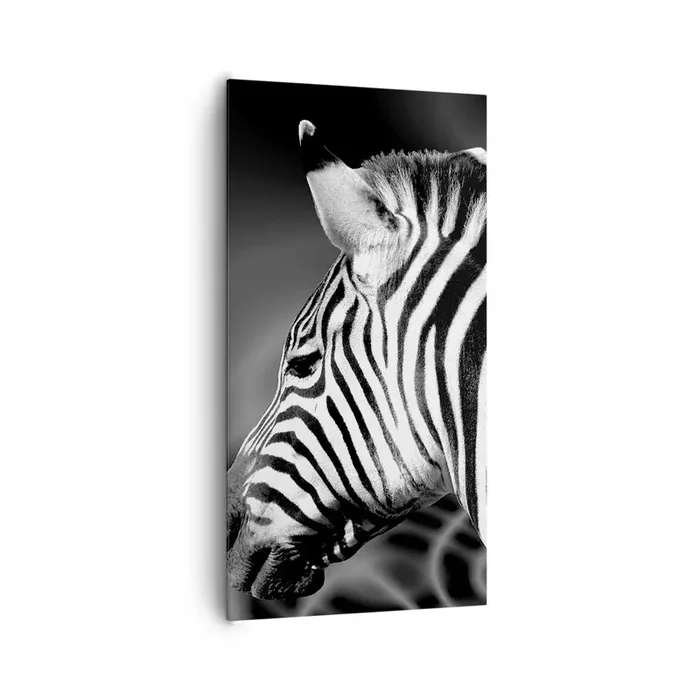 Cuadro sobre lienzo – Impresión de Imagen – El blanco es blanco, el negro es negro – 65×120 cm