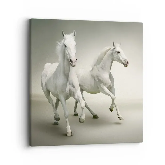 Cuadro sobre lienzo – Impresión de Imagen – ¡Poder blanco! – 40×40 cm