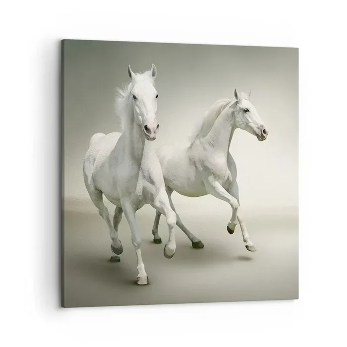 Cuadro sobre lienzo – Impresión de Imagen – ¡Poder blanco! – 50×50 cm