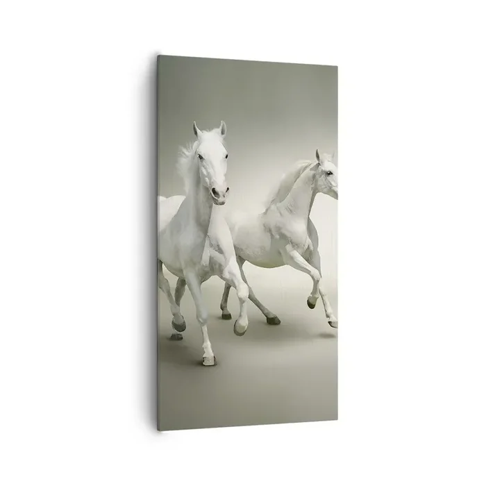 Cuadro sobre lienzo – Impresión de Imagen – ¡Poder blanco! – 65×120 cm
