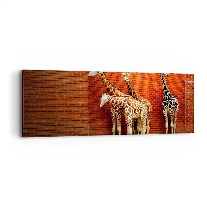 Cuadro sobre lienzo – Impresión de Imagen – ¿Ves alguna acacia? – 90×30 cm