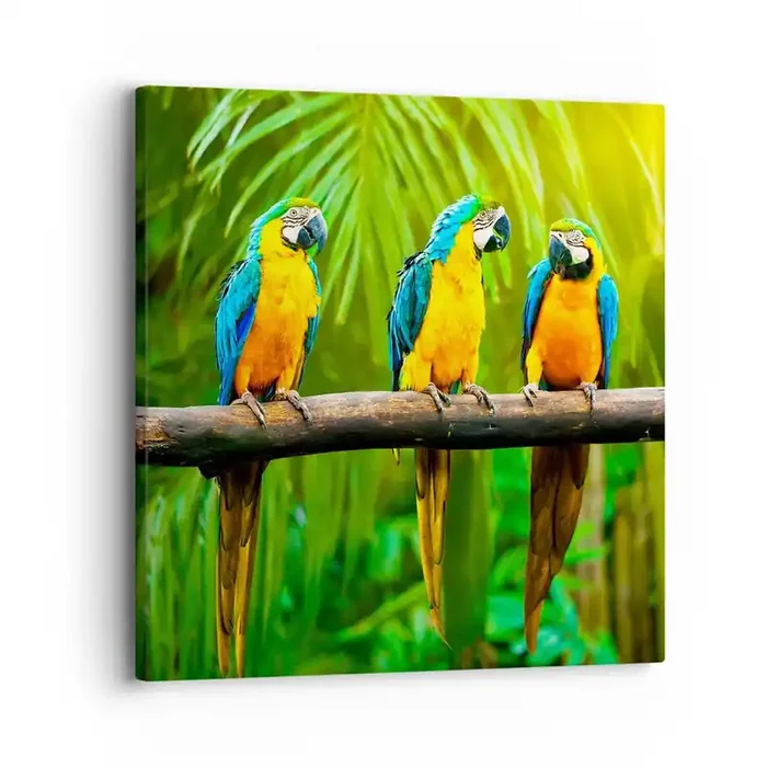 Cuadro sobre lienzo – Impresión de Imagen – ¿Y has oído que ella…? – 30×30 cm