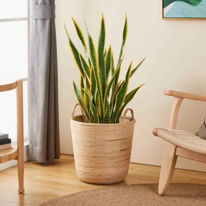 Eglo – Cesta decorativa 41×36 cm beige