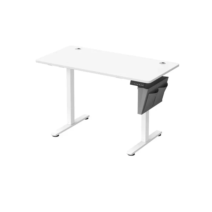 Escritorio Eléctrico, Regulable en Altura 60 x 120 x (72-120) cm-SONGMICS