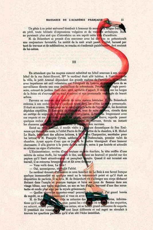 FLAMINGO ROLLERSKATE 90×60 – Drimdeco