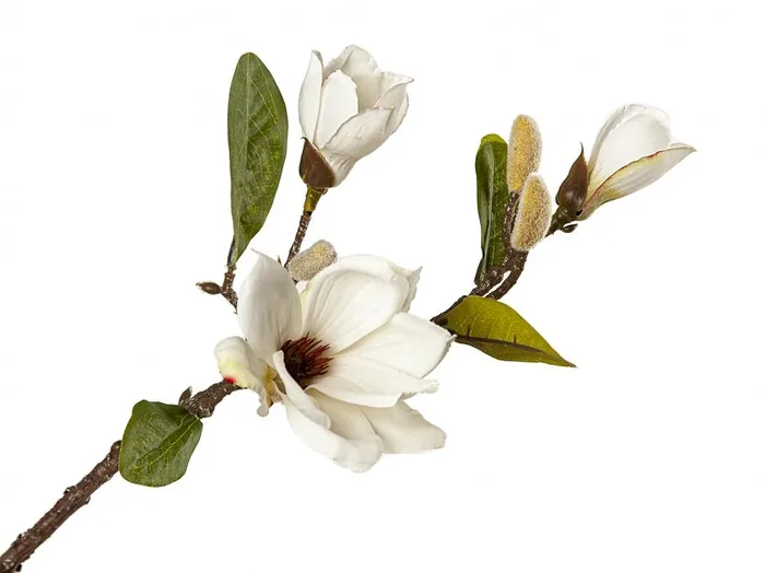 Flor Magnolia Blanca Pvc
