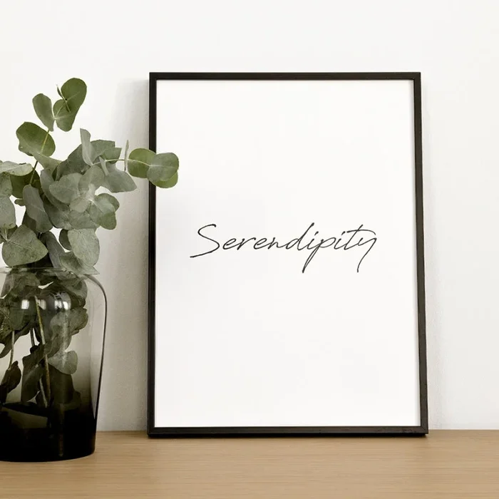 Lámina Serendipity Negro – Kenay Home