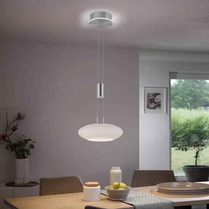Paul Neuhaus Q-ETIENNE colgante LED, 1 luz