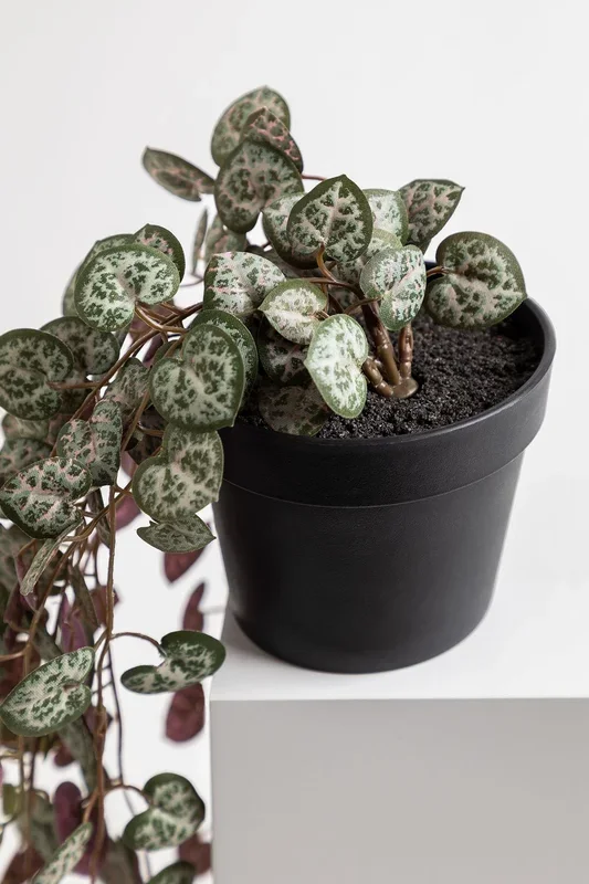 Planta Colgante Artificial Decorativa de Ceropegia Verde Oscuro – SKLUM