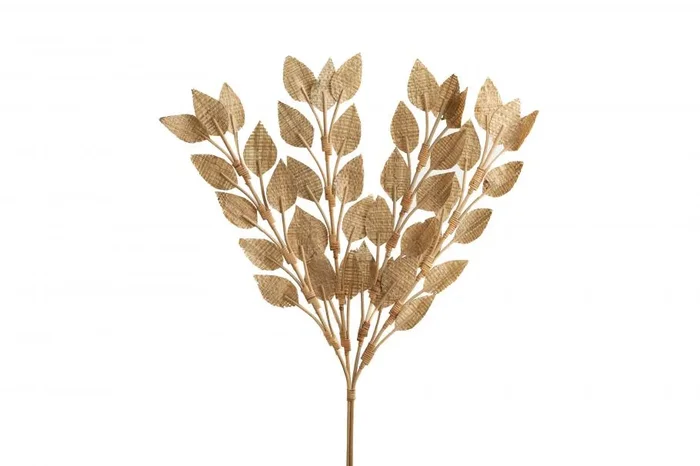Rama Hojas Fibras Vegetales